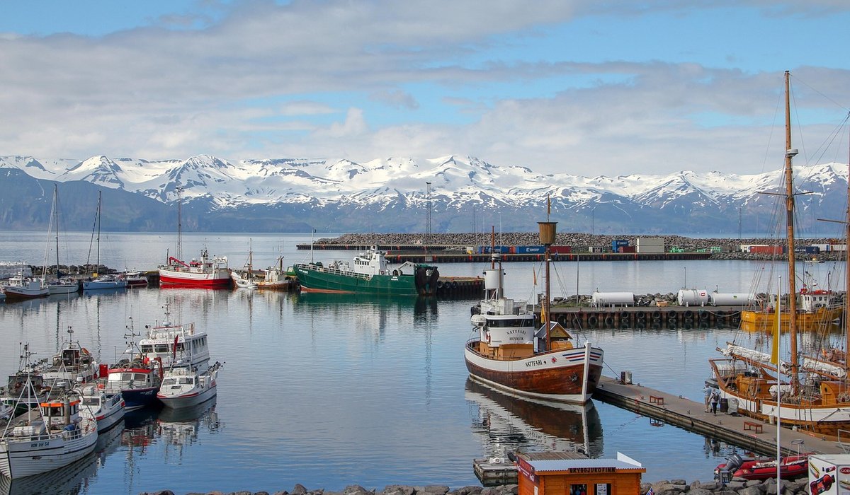 Reading Tide Tables for Safer Shore Fishing